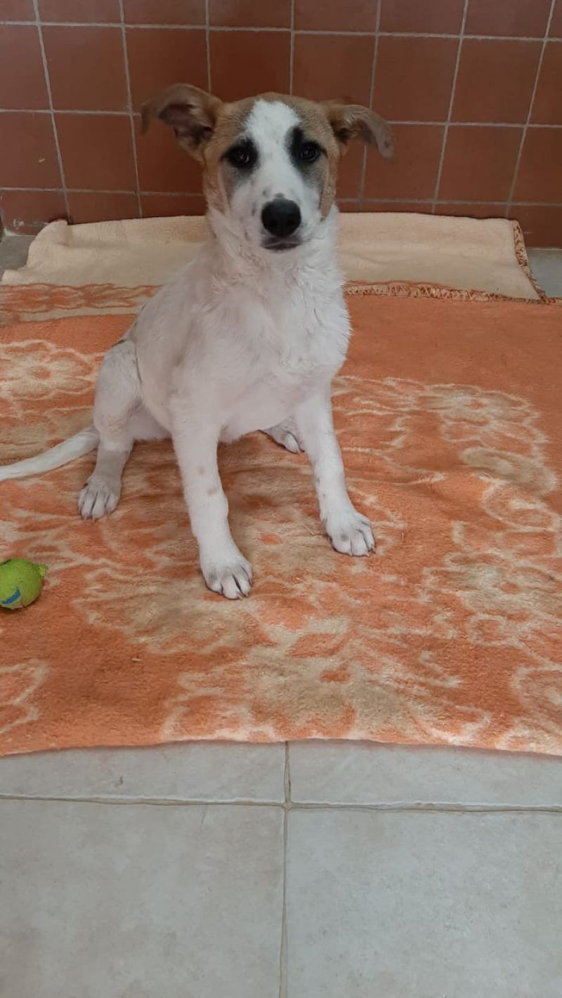Elsa solo 4 mesi e mezzo