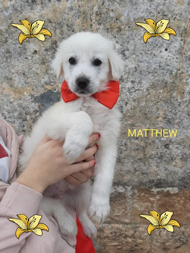 Mattew solo 2 mesi