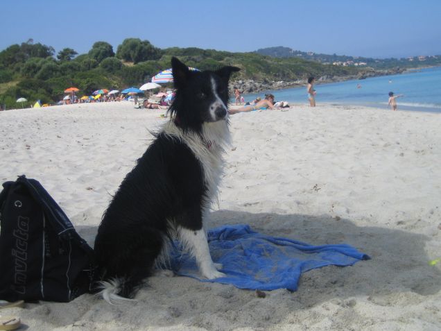 Toby in vacanza