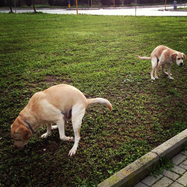 Sincronismo...perfetto!