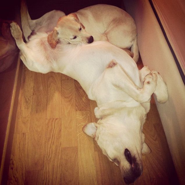 Cuscino improvvisato