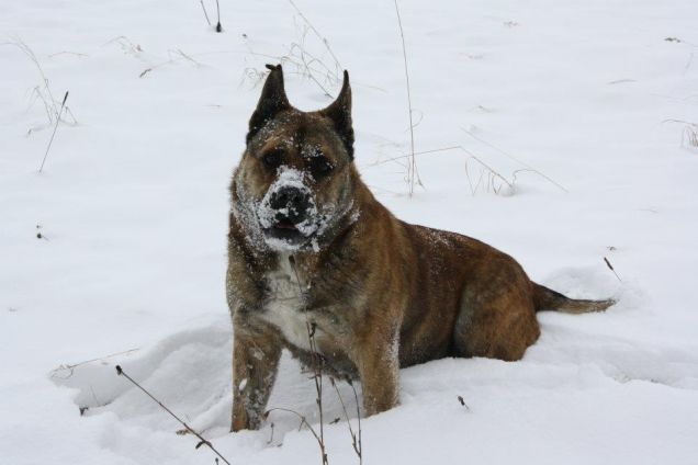 - 18 gradi! I love cold!