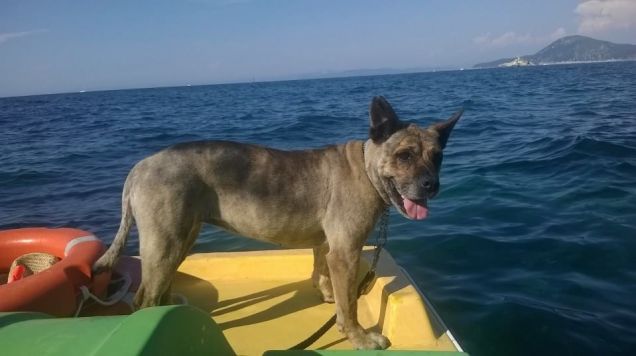 tutti in ferie e in pedalò!