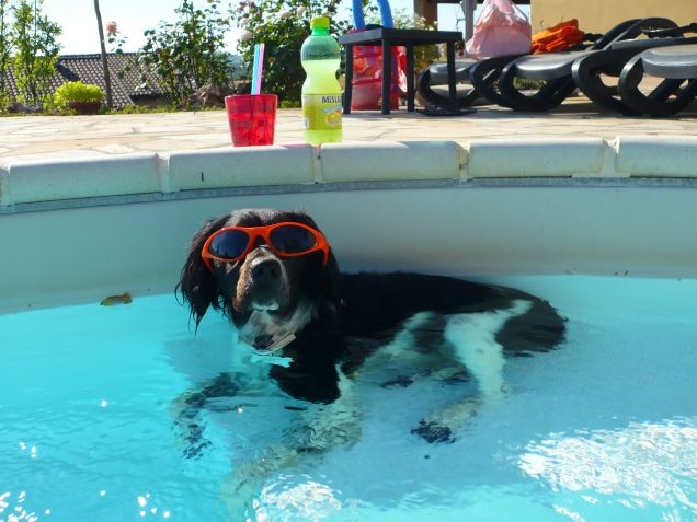 vi posso offrire un drink a bordo piscina?