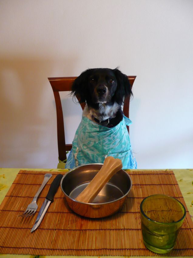 Ã¨  pronta la cena 2