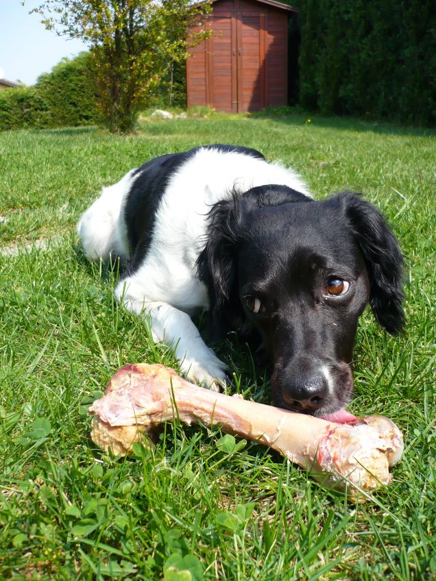 il pi&Atilde;&sup1; grande spettacolo dopo il big bang....