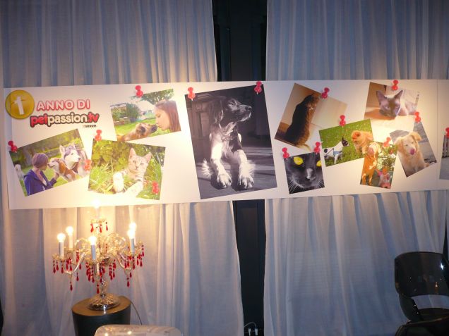 Foto finaliste esposte