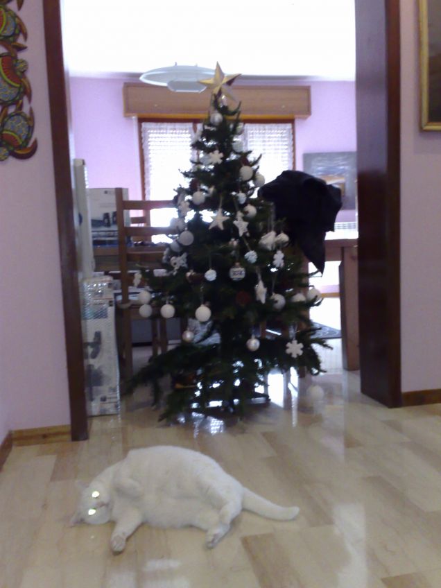 sophie e l'albero