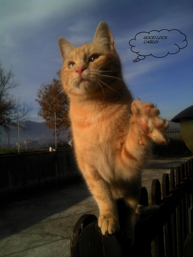 Gus vi salutaa!!miaooo