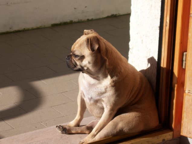 si dice che il sole va ai belli