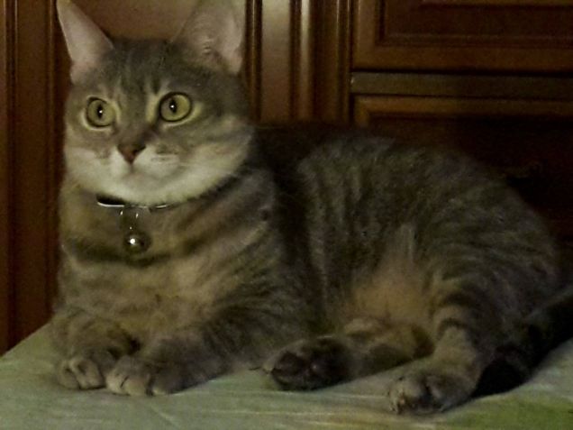 La mia dolcissima Betty