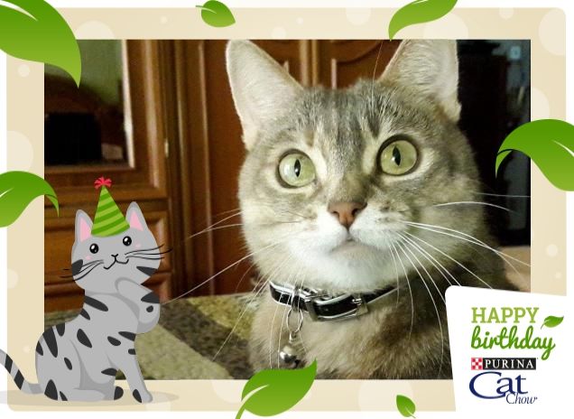 AUGURONI  CATCHOW !!!