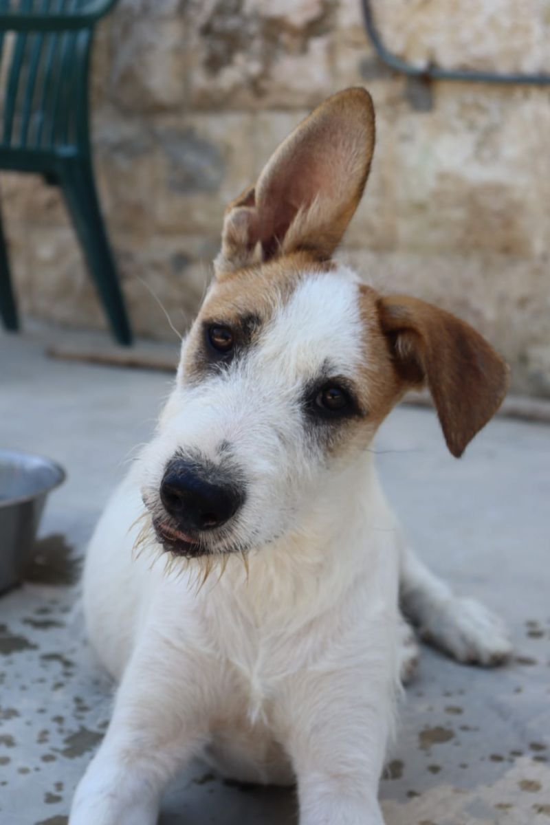 BERNARDO solo 5 mesi
