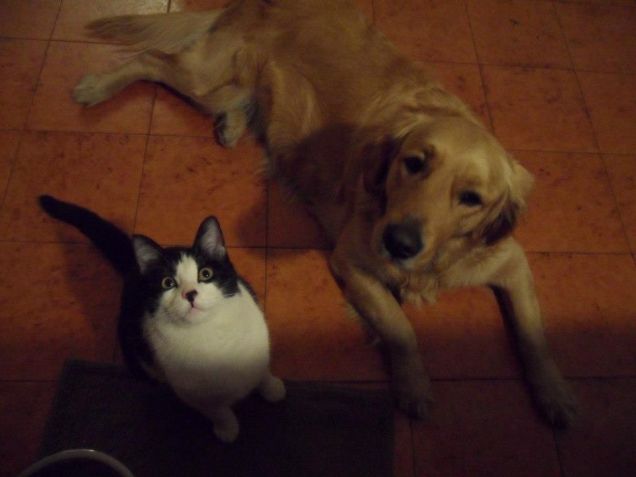 fratelli per la pelle