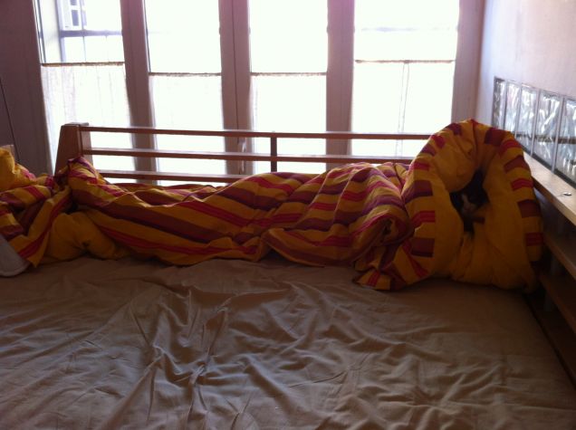 Chi cerca, trova....