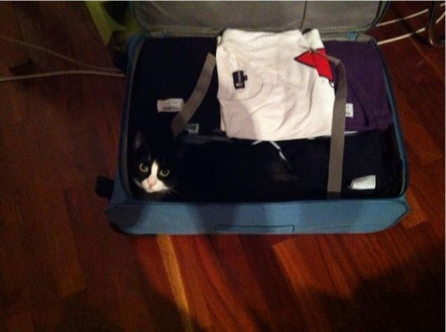 Mi porti in vacanza con te?