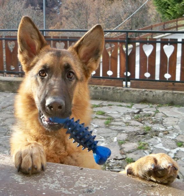 kira ed il suo gioco preferito!