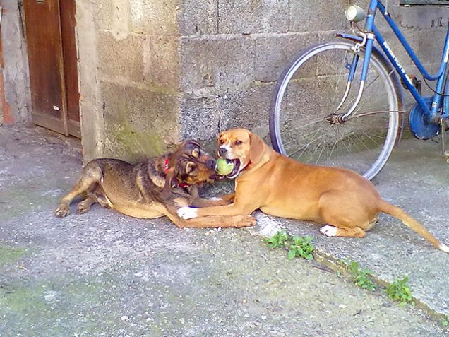 Un bacio.... alla palla!