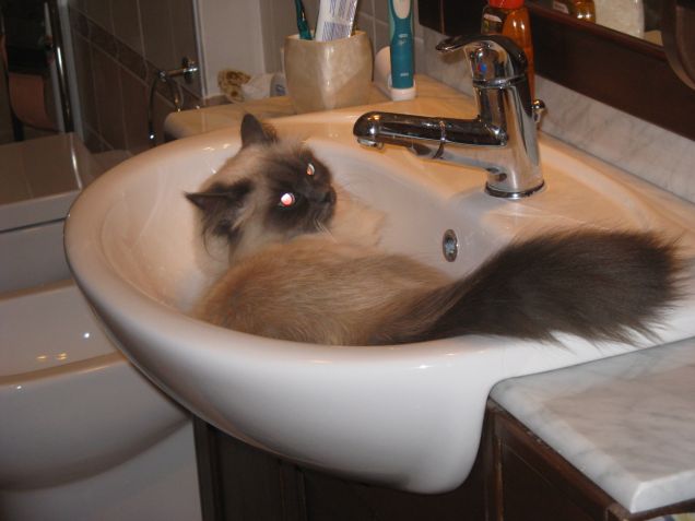 il mio posto preferito...