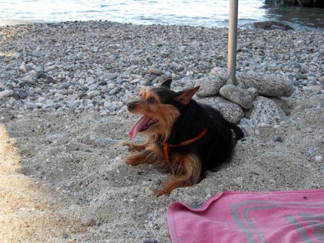 Kiretta prende il sole