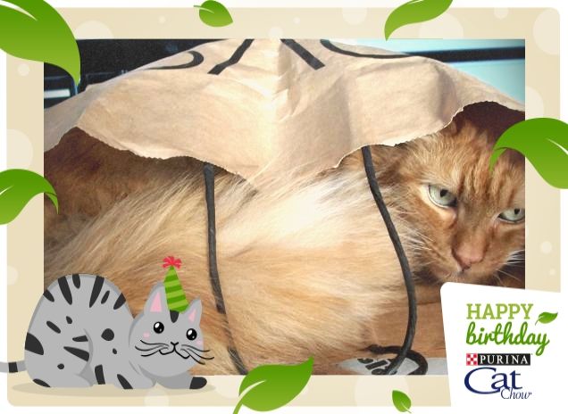 Chissà se mi trovano......