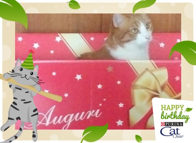 gerry, ti fa' gli auguri