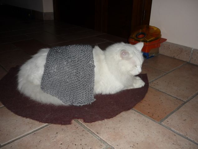 con la mia copertina 