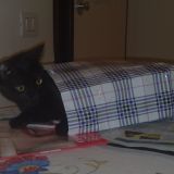 il nostro tatone nero Schatzy
