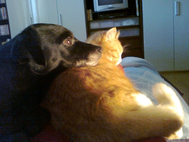 Davanti alla stufetta