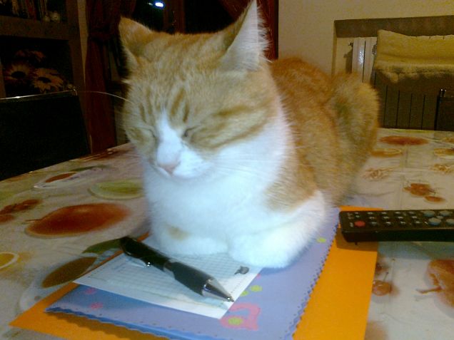 Pierino lo scrittore