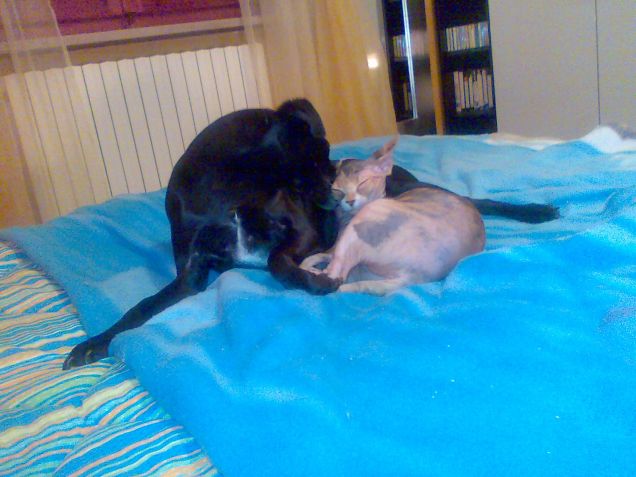 Coccole tra fratelli