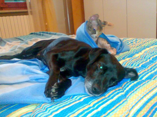 Uno sguardo tenerissimo