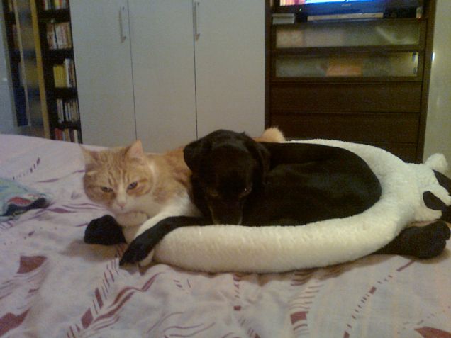 amore interspecifico!!