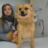 Moon cagnolinoo taglia mini cerca famiglia