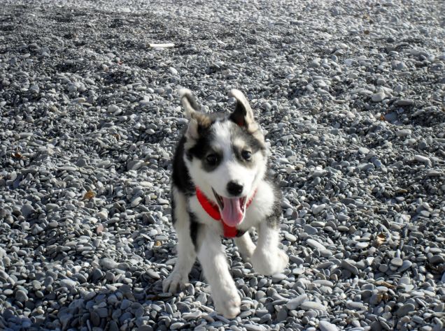 La piccola Matisse al mare!