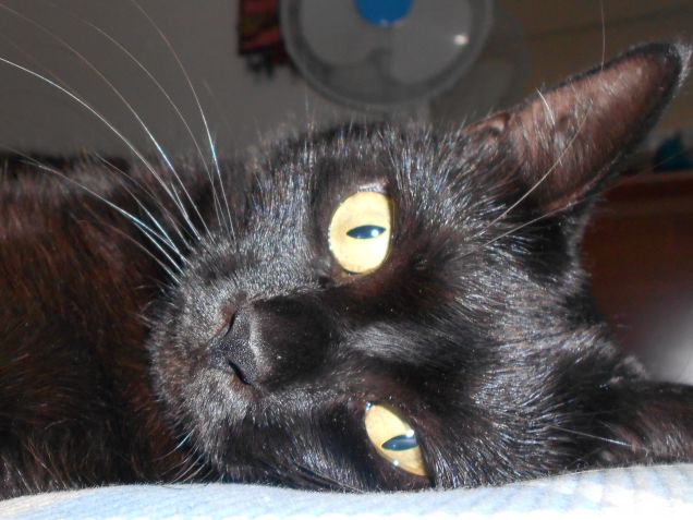 sono troppo carina :)