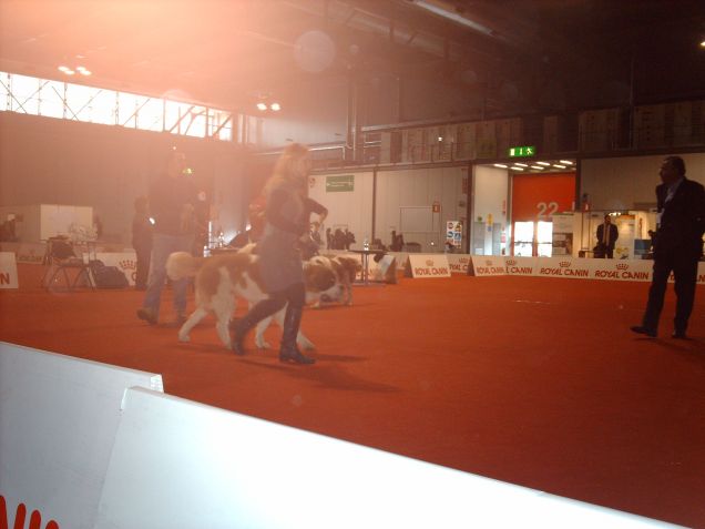 durante l'expo