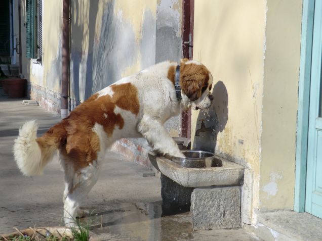 gioco con l'acqua