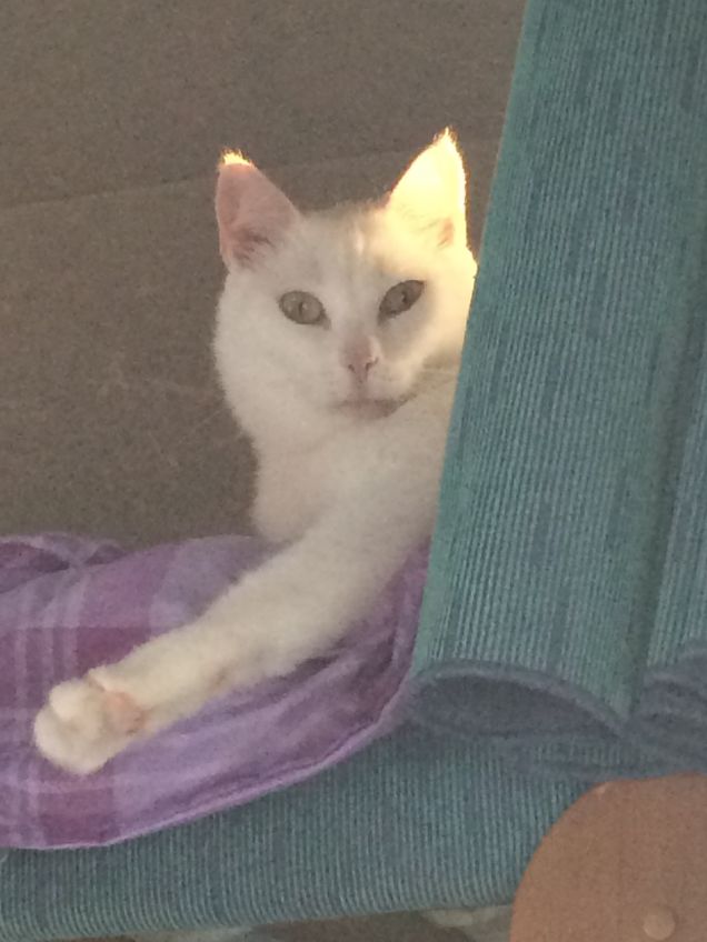 A suo agio nel camper