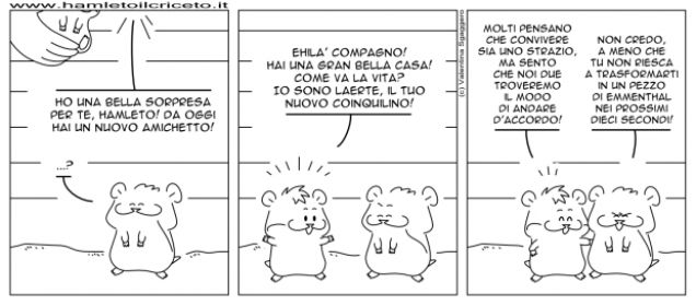 Laerte, il criceto socievole