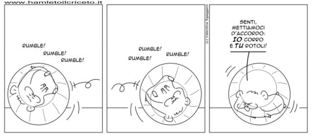 Palla per criceti - 2a parte