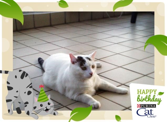 Ninetto prende il fresco