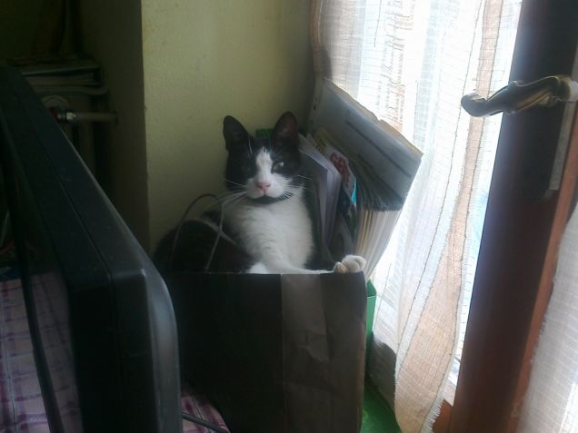 nella busta si sta comodi