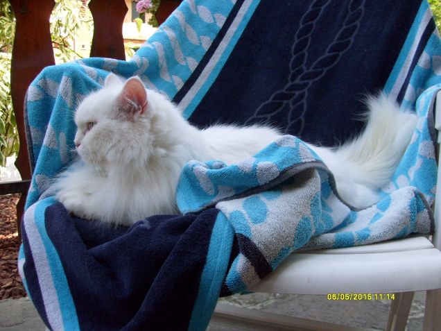 Riuscirò a prendere la tintarella?