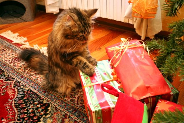 voglio scartare il mio regalo! 