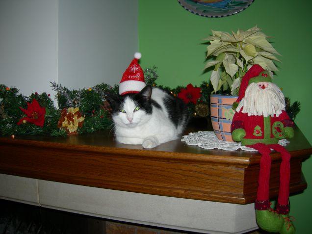 il Natale di Principessa