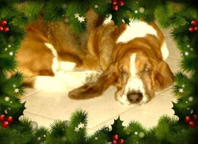 Natale Dolce Dormire