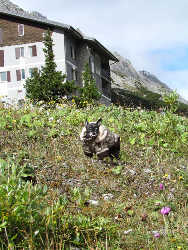 Girovagando per i monti