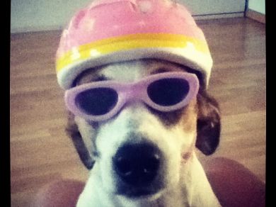 kita va sulla moto con noi!!! x-D