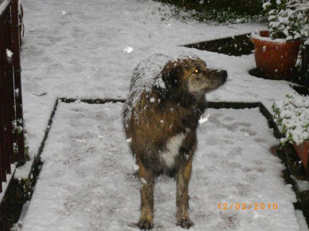 la piccola Ketty sotto la neve!!